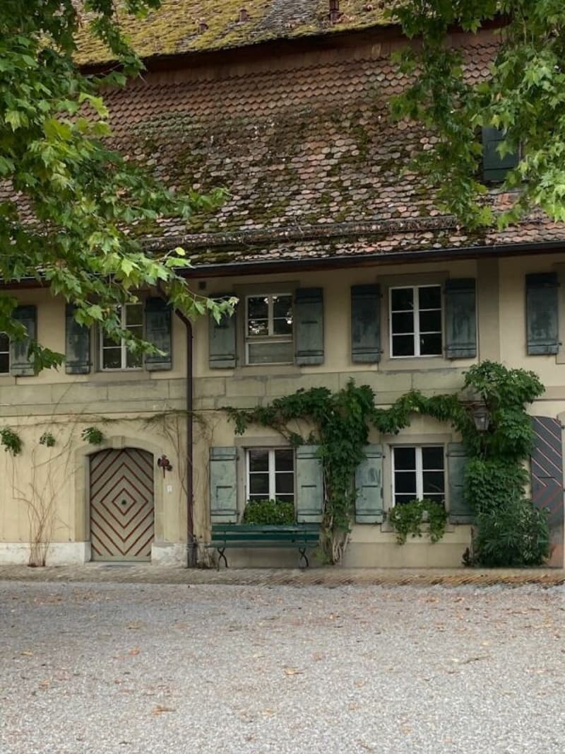 3 1/2-Zimmer-Maisonette-Wohnung im Schlosspark (18)