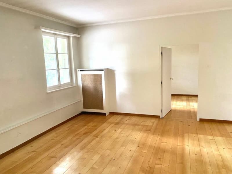 3 1/2-Zimmer-Maisonette-Wohnung im Schlosspark (9)