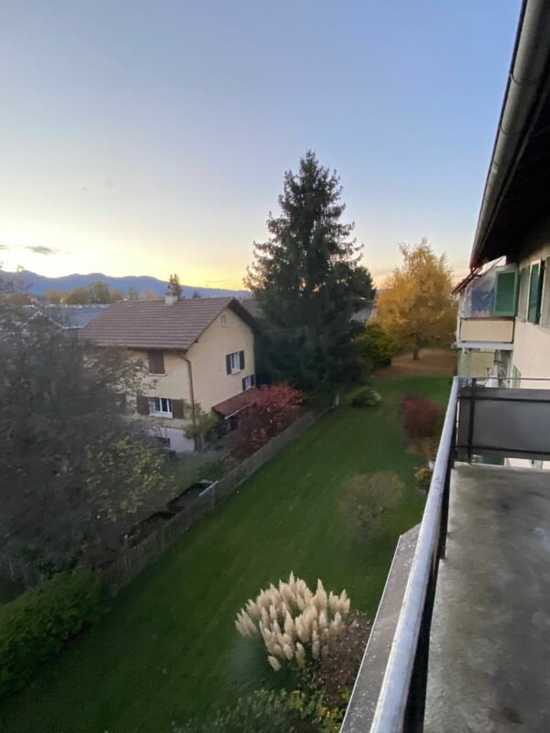 4-Zimmerwohnung im Parterre (12)
