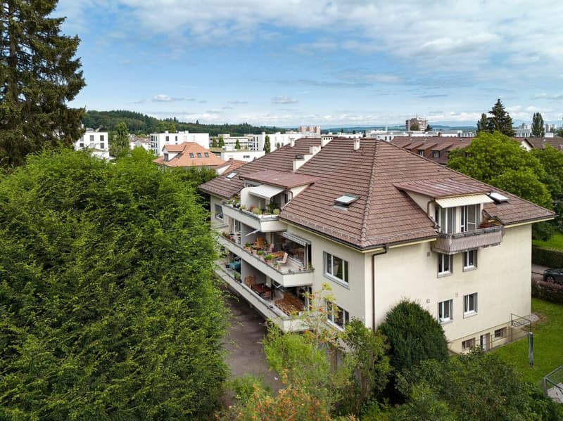 5 1/2-Dachwohnung mit schöner Aussicht und Cheminée (15)