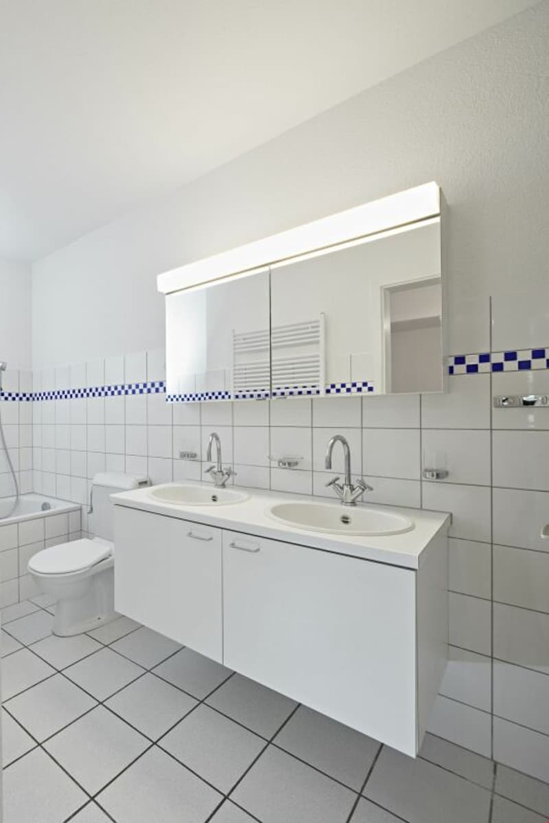 5 1/2-Dachwohnung mit schöner Aussicht und Cheminée (5)