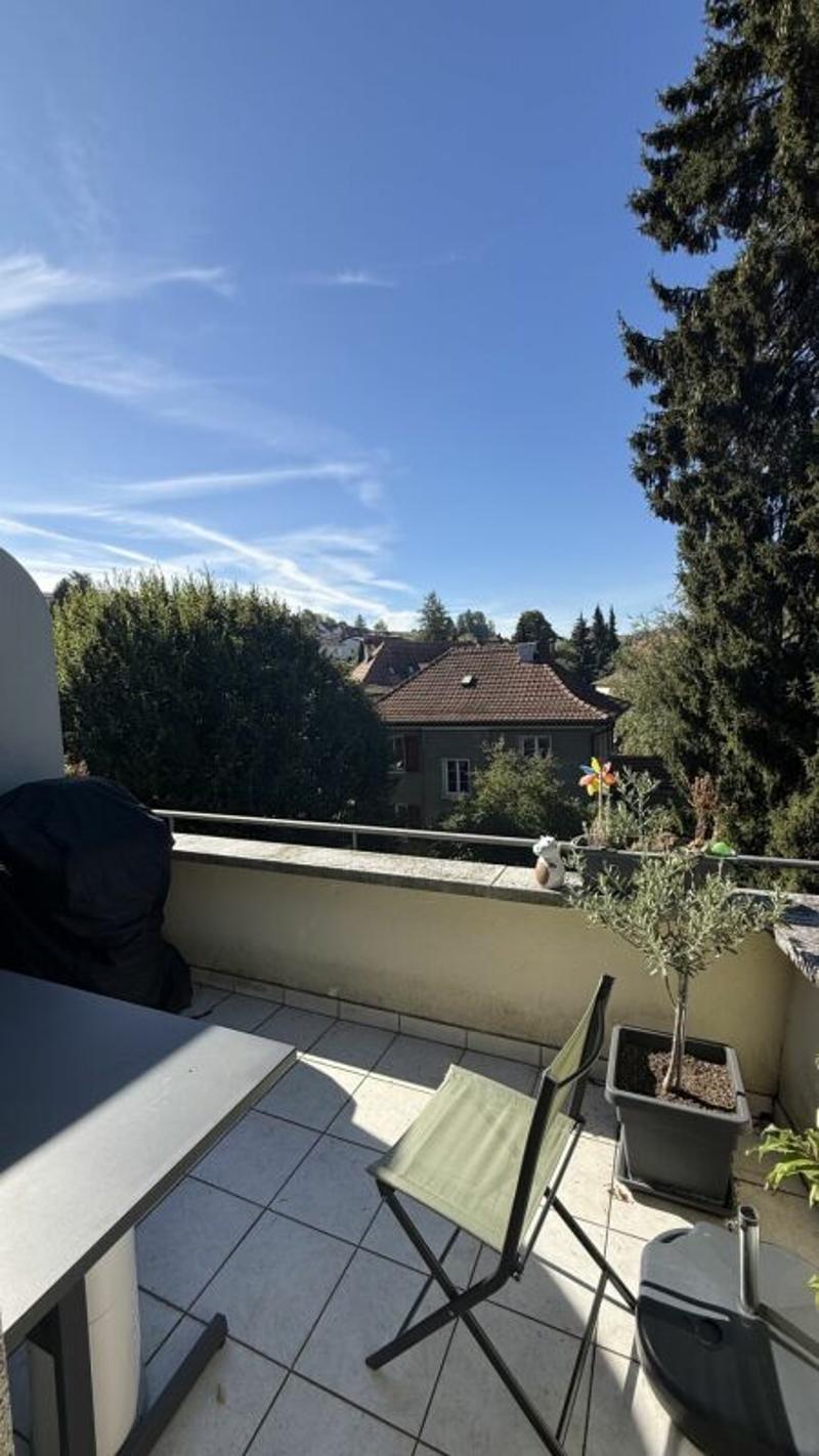 5 1/2-Dachwohnung mit schöner Aussicht und Cheminée (17)