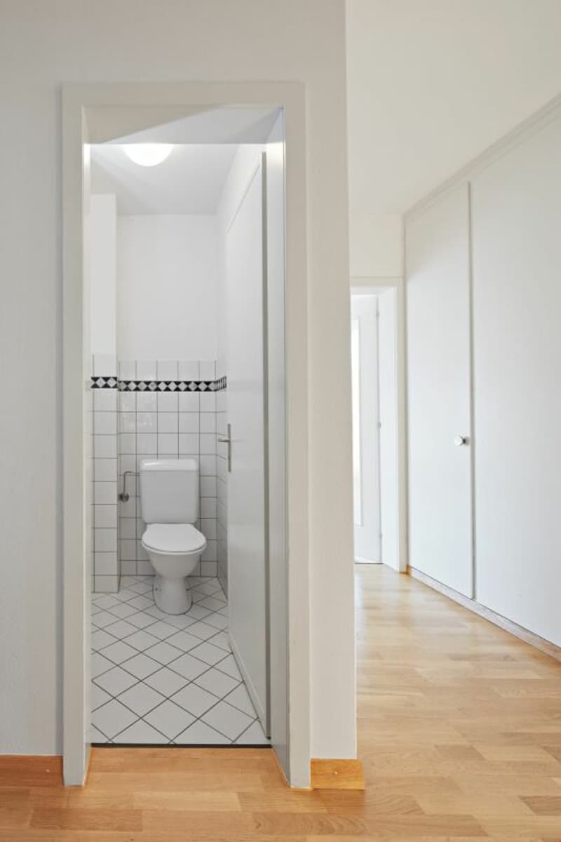4 1/2-Zimmerdachwohnung mit schöner Aussicht & Cheminée (10)
