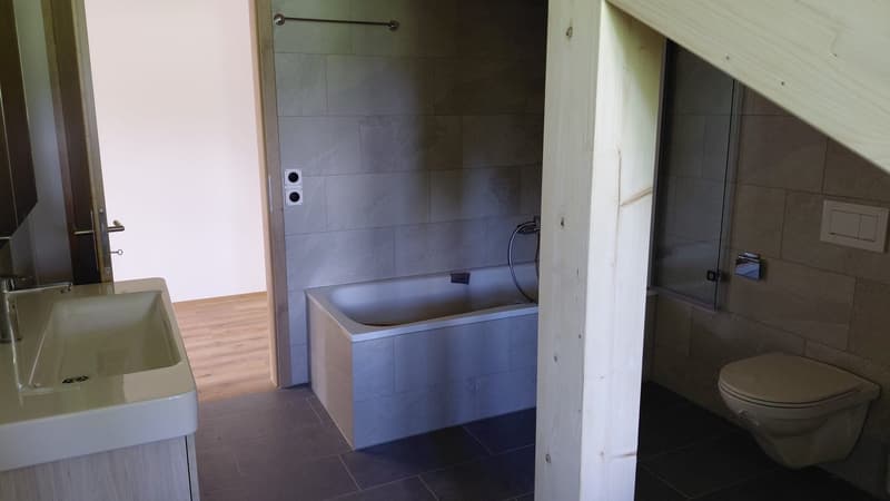 Appartement en mansarde 3 1/2 pièces avec vue imprenable sur le lac et les montagnes (13)
