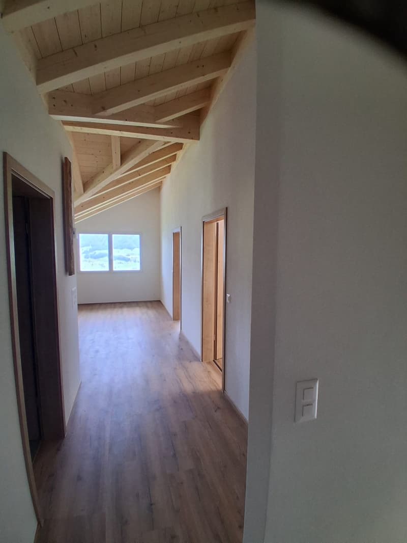 Appartement en mansarde 3 1/2 pièces avec vue imprenable sur le lac et les montagnes (24)