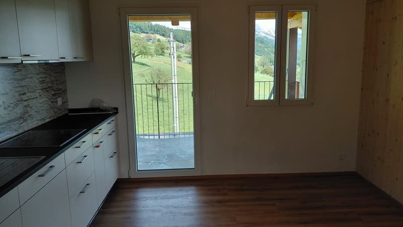 Appartement en mansarde 3 1/2 pièces avec vue imprenable sur le lac et les montagnes (10)