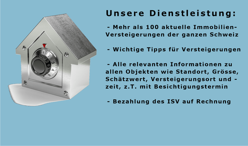 8-Zimmer Wohn- und Geschäftshaus (6)