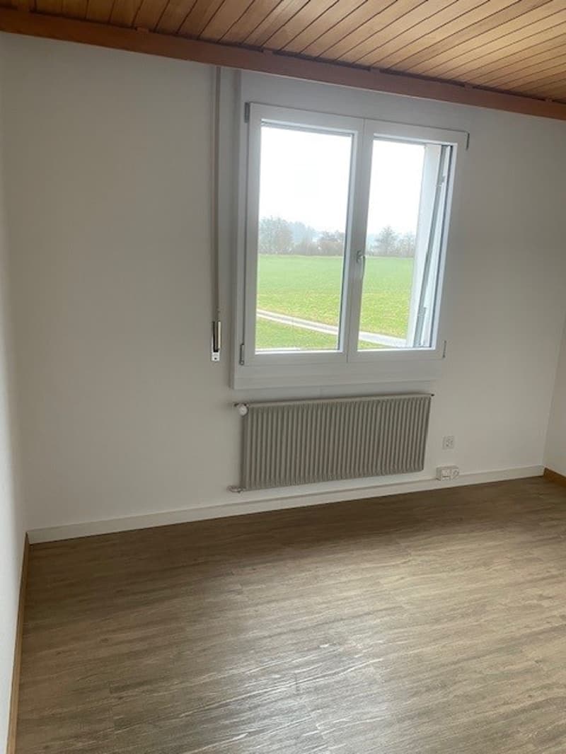 Commercial building with balcony in Langenthal (7)