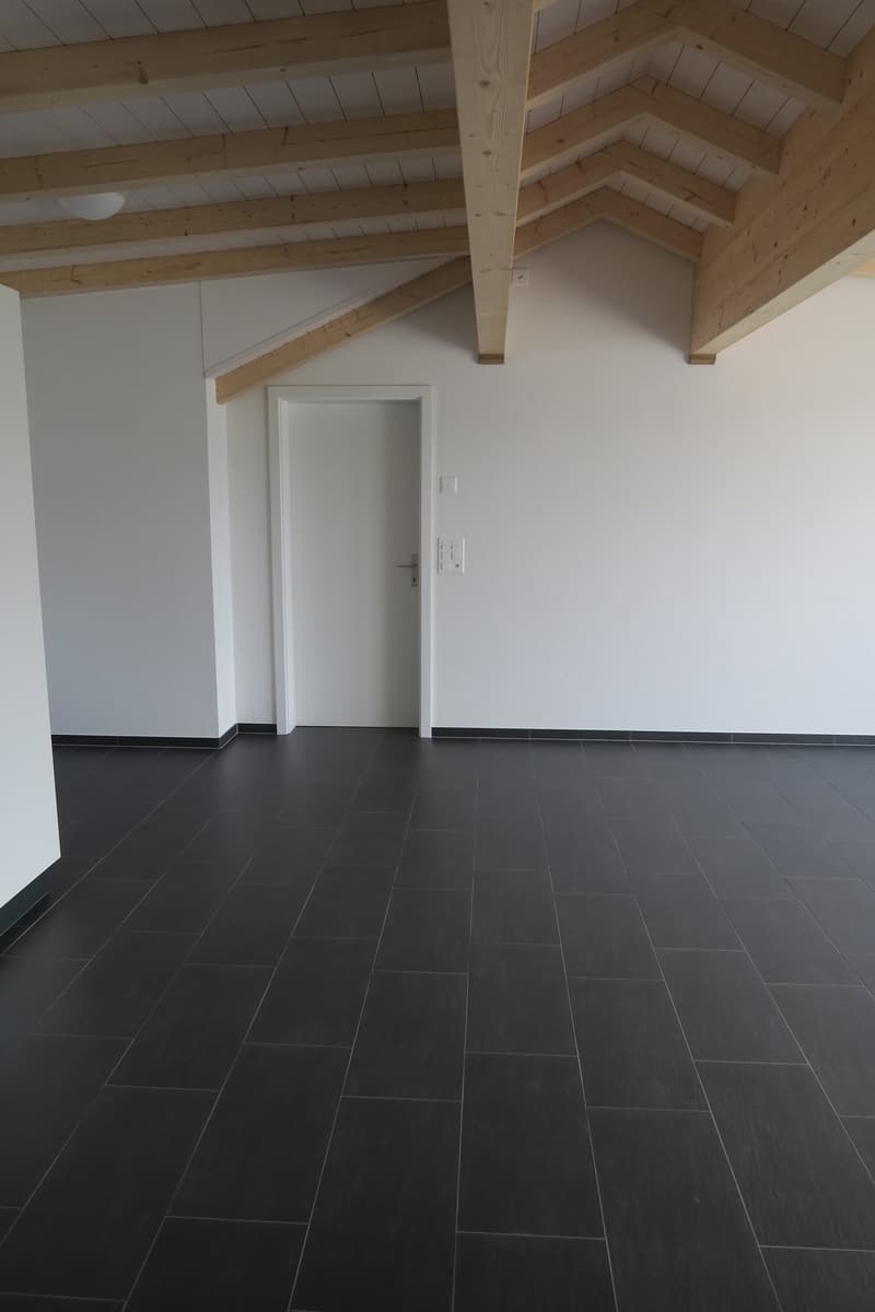 Dachwohnung mit toller Aussicht (5)