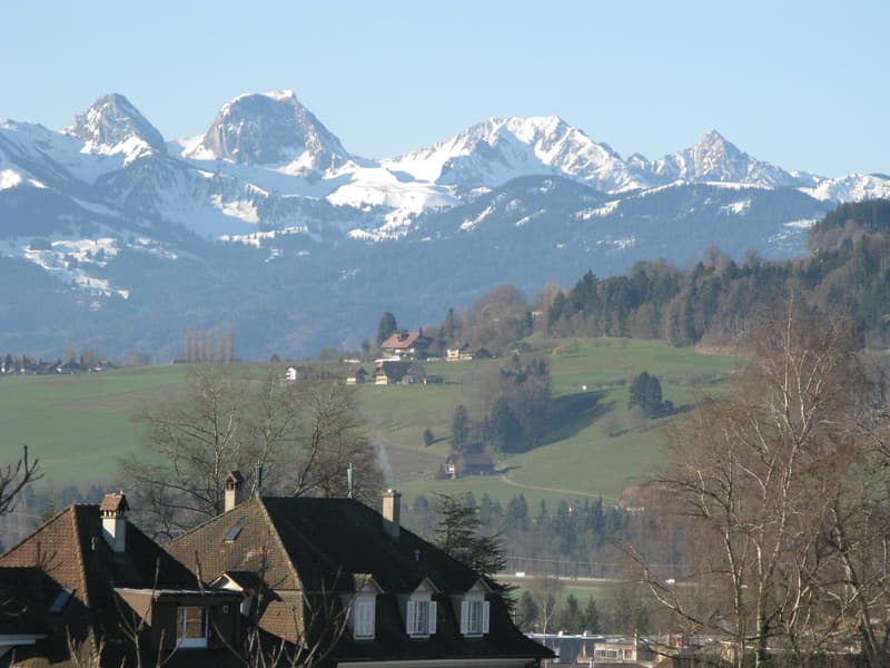 Dachwohnung mit toller Aussicht (12)