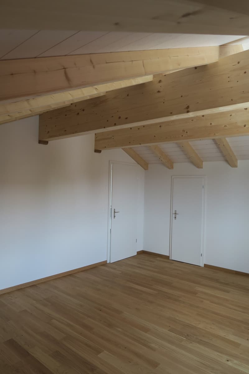 Dachwohnung mit toller Aussicht (8)