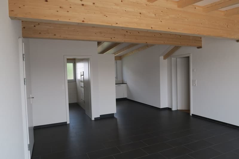 Dachwohnung mit toller Aussicht (10)