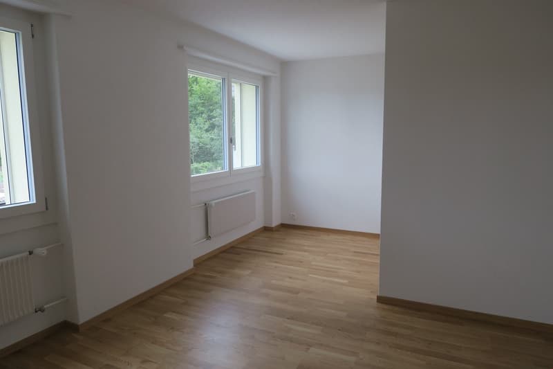 3.5-Zimmerwohnung / komplett saniert im Jahre 2017 (8)