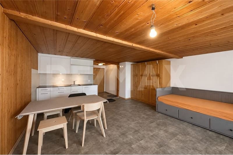 Small, fine, and with a view - renovated studio in a quiet location (8)