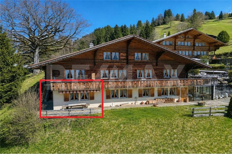 Small, fine, and with a view - renovated studio in a quiet location (2)