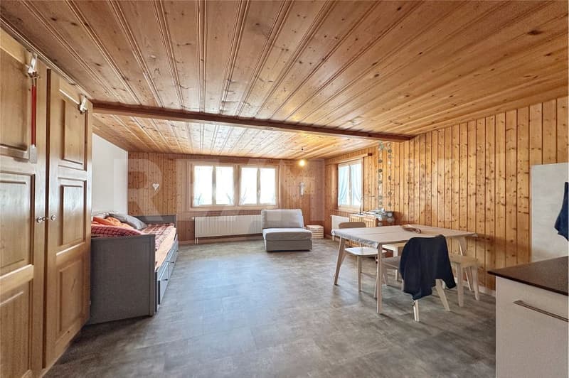 Small, fine, and with a view - renovated studio in a quiet location (5)