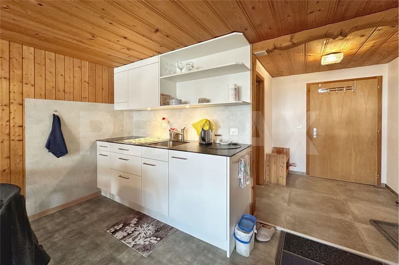 Small, fine, and with a view - renovated studio in a quiet location (7)