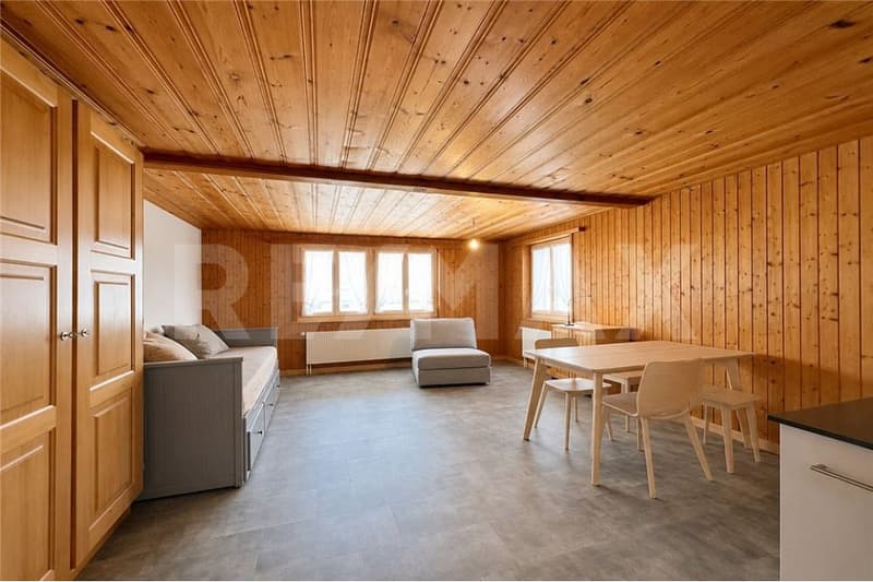 Small, fine, and with a view - renovated studio in a quiet location (7)