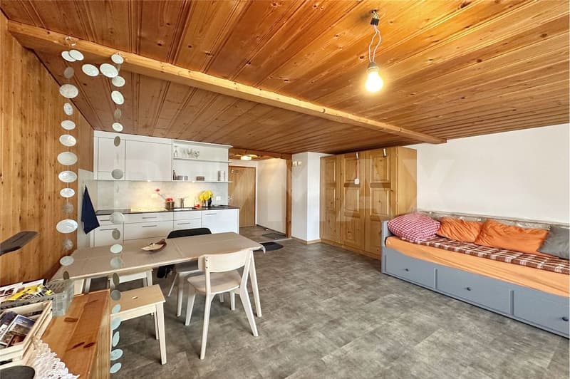 Small, fine, and with a view - renovated studio in a quiet location (6)
