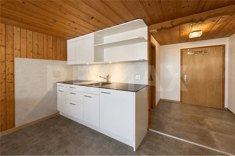 Small, fine, and with a view - renovated studio in a quiet location (9)