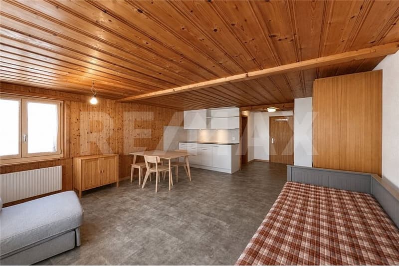 Small, fine, and with a view - renovated studio in a quiet location (1)