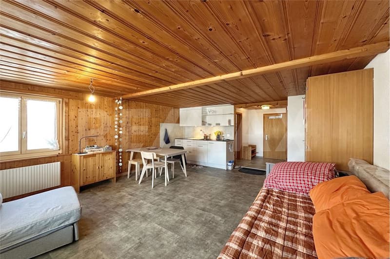 Small, fine, and with a view - renovated studio in a quiet location (4)