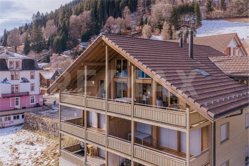 Exclusive penthouse apartment with a view and privacy (4)