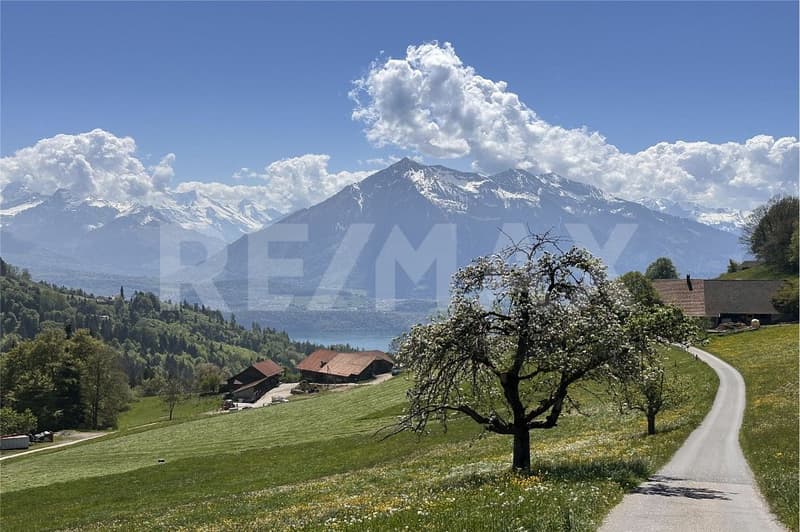 4-family house in a quiet, sunny location with a far-reaching view - rental property (13)
