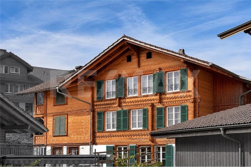 Charmantes Dreifamilienhaus mit Geschichte - voll vermietet und vielseitig nutzbar (1)