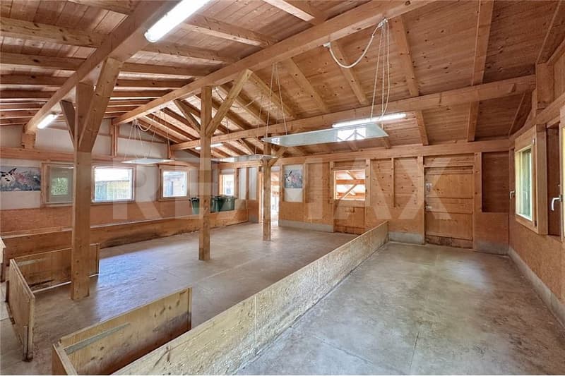 Viel Haus fürs Geld - 7½ Zimmer mit Nebengebäude, nur 17 km von Spiez (12)