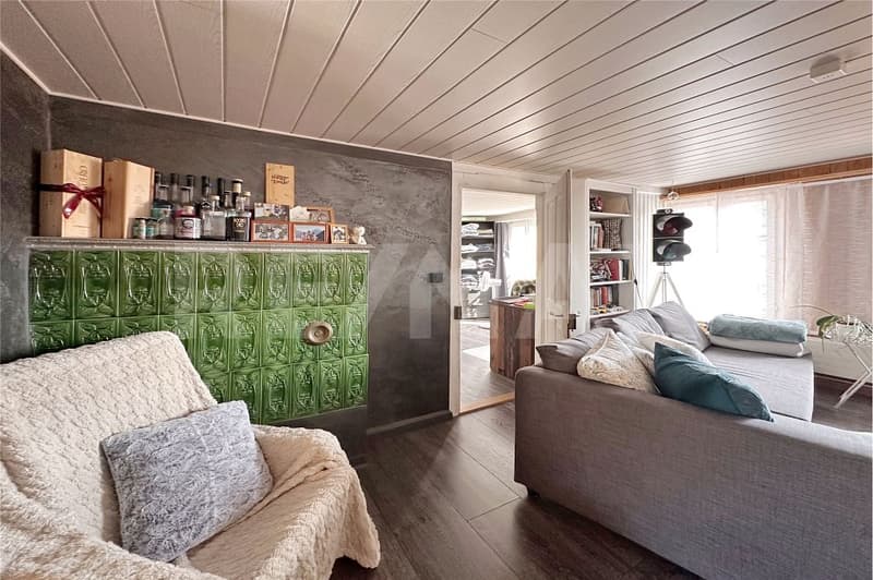 Dreifamilienhaus mit Charme - wohnen, vermieten und investieren (11)