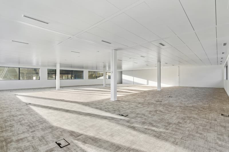 Bureau de 385 m² à louer à Terre Bonne (7)
