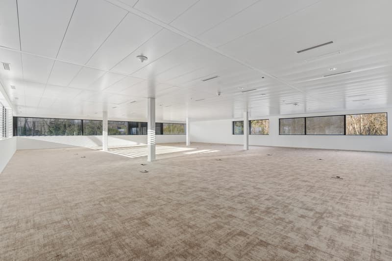 Ufficio di 181 m² in affitto a Terre Bonne (3)