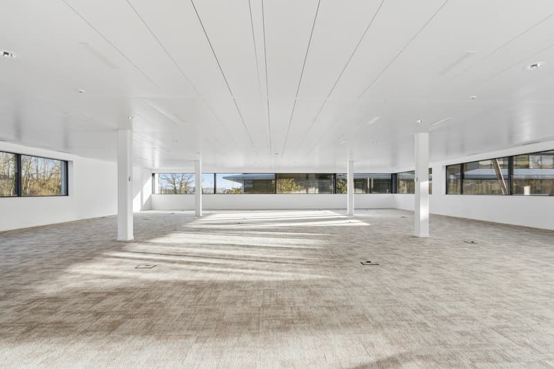 Bureaux à louer de 64 à 385 m² au cur de Terre Bonne (6)