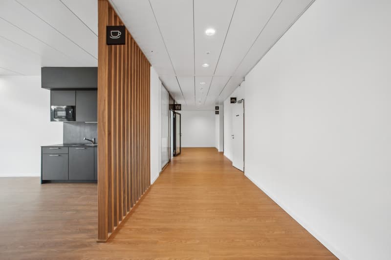 Bureaux à louer de 64 à 385 m² au cur de Terre Bonne (7)