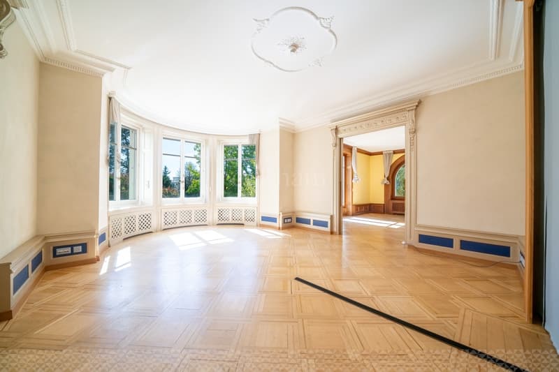 Zu vermieten: Ausnahme-Kaufhaus in Lausanne (4)