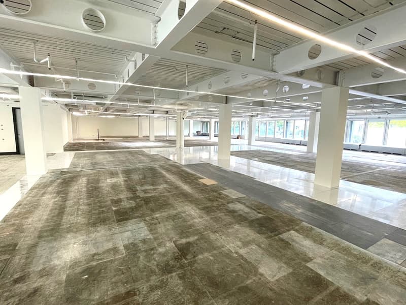 Versatile area of excellent standard with 586 m² (4)