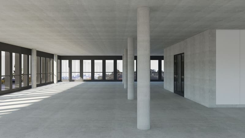 Surfaces aménagées entre 130 et 1'590m2 totalement neuves à Renens (2)