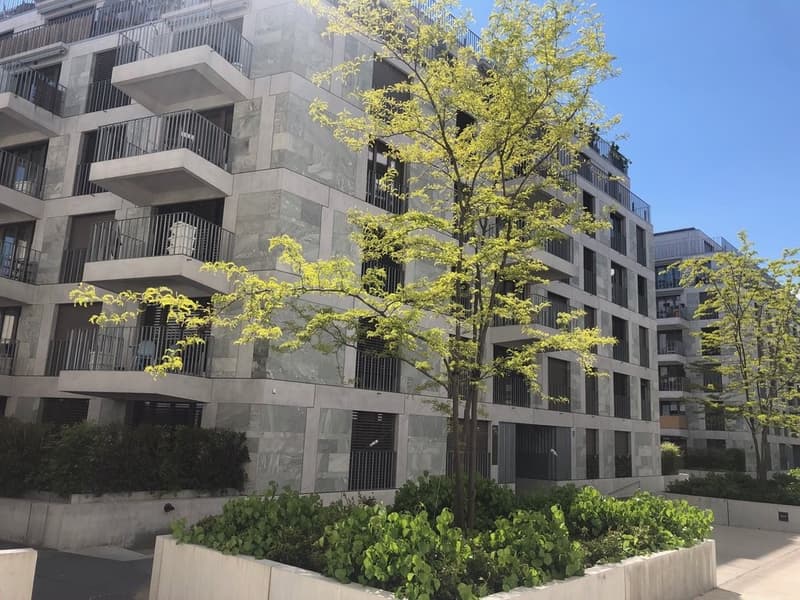 8162-20251209-1643.01.png
