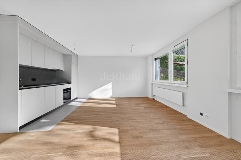 2 rooms renovated for rent in the center of Lausanne (3)