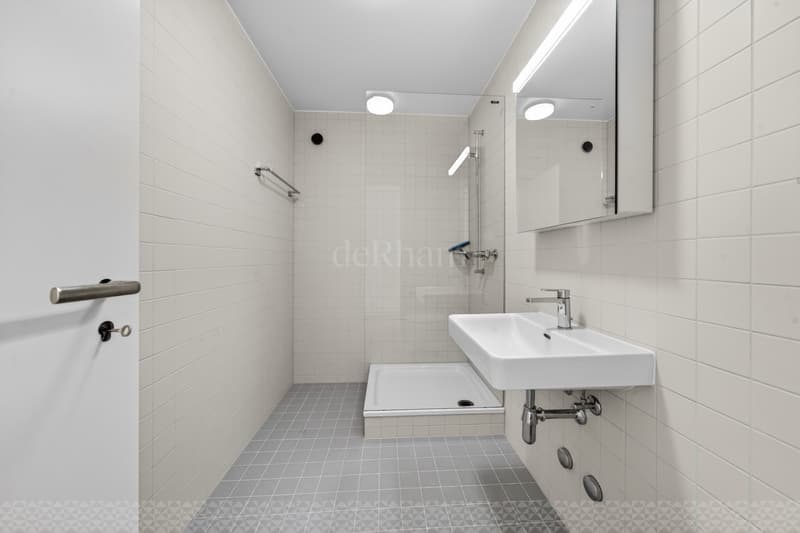 2 rooms renovated for rent in the center of Lausanne (6)