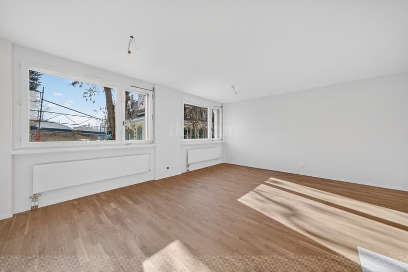 2 rooms renovated for rent in the center of Lausanne (5)