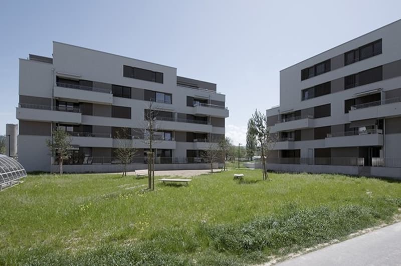 Rives_de_la_Broye_01.jpg
