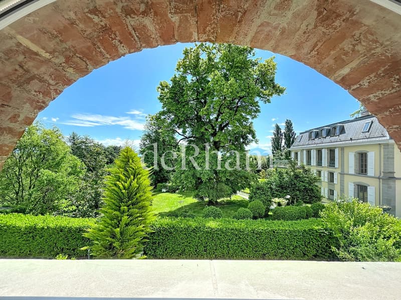 Superba appartamento di 8,5 locali con terrazza e giardino (6)