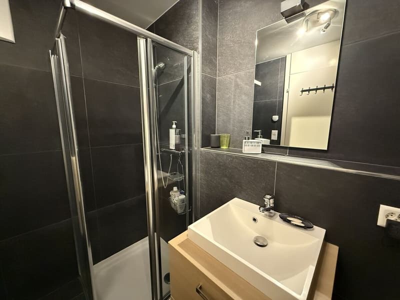 Charmanter zeitgenössischer 3.5-Zimmer-Wohnung mit Aussicht! (7)