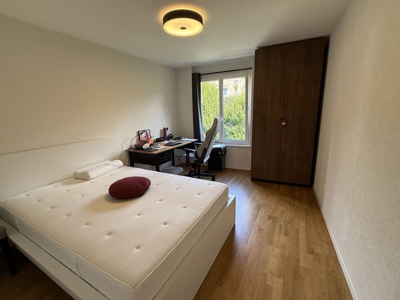 Charmanter zeitgenössischer 3.5-Zimmer-Wohnung mit Aussicht! (3)