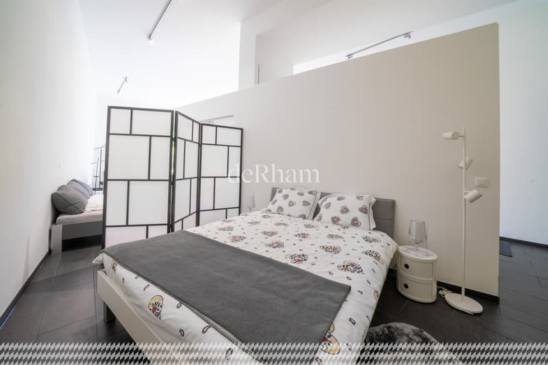 Prächtiges Loft im Herzen von Lausanne (4)