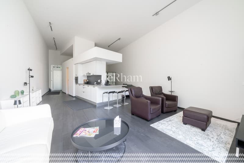 Prächtiges Loft im Herzen von Lausanne (3)