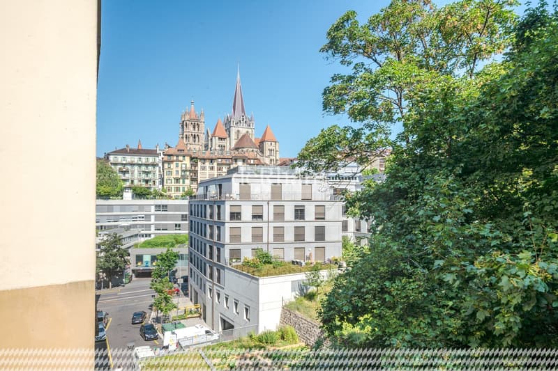 Prächtiges Loft im Herzen von Lausanne (8)