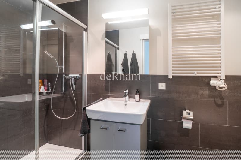 Prächtiges Loft im Herzen von Lausanne (5)